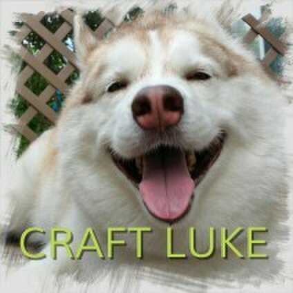 CRAFT LUKE