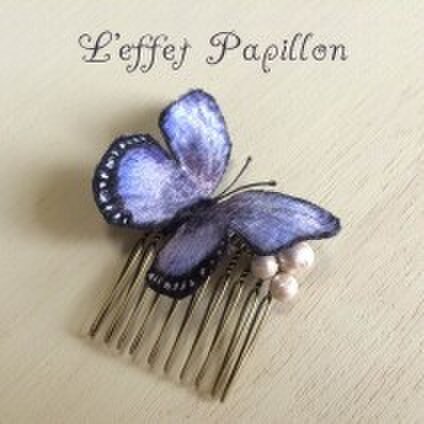 L’effet Papillon