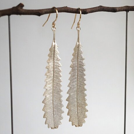 Banksia leaf earrings {EP055SV}の画像
