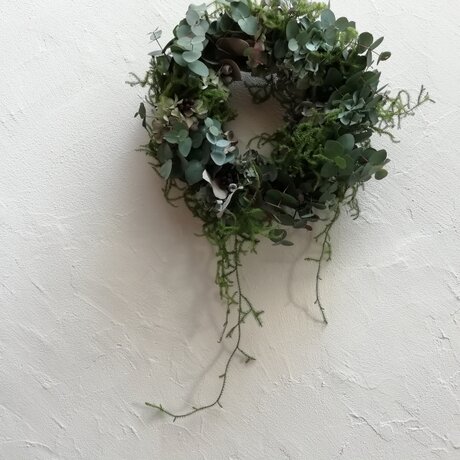 ユーカリと紫陽花のwreathの画像