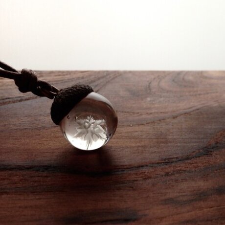 雪降る森に…雪の結晶＊どんぐり ~Glass~の画像