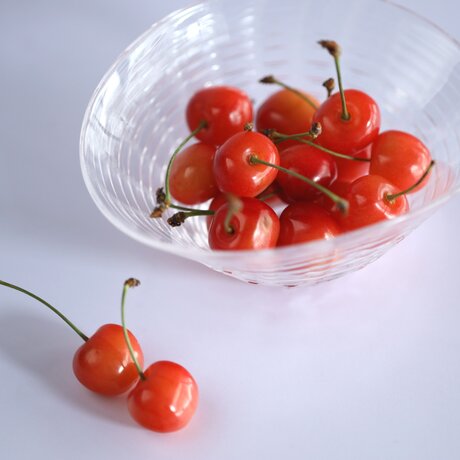 白泡チェックのうつわ(タンスの肥やしシリーズ)