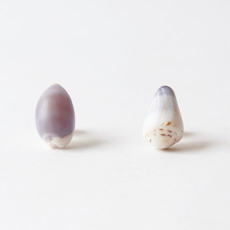 浜遊び 7【14kgf】