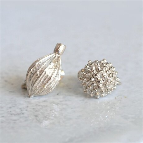 Seed Earring{EP007SV}の画像