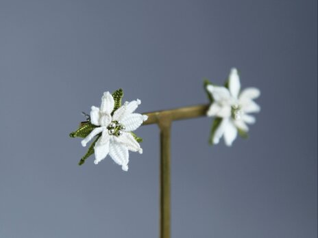 タティングレース×ビーズ　ポインセチア ピアス　ホワイト