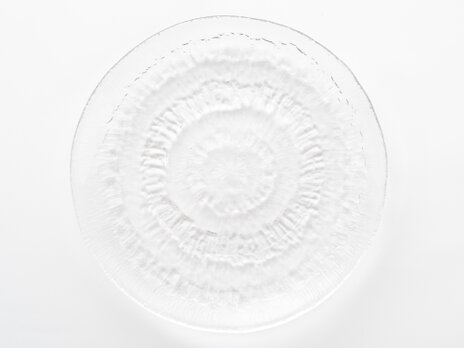 Solaris｜plate φ16cmの画像