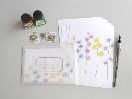 レターセット スイートピー