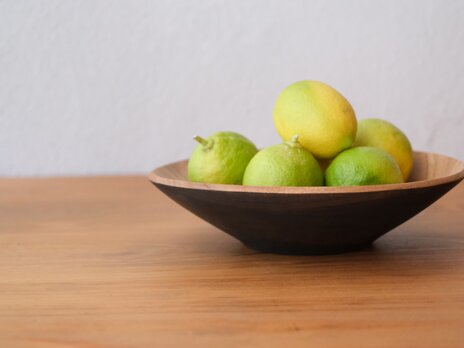 クスノキの浅鉢　【杜の器】（19.5）〈ガラスコーティング〉【1844】