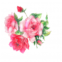国産☆アイアン 薔薇の装飾パネル W150cm 鉄製 バラ スリット 面格子