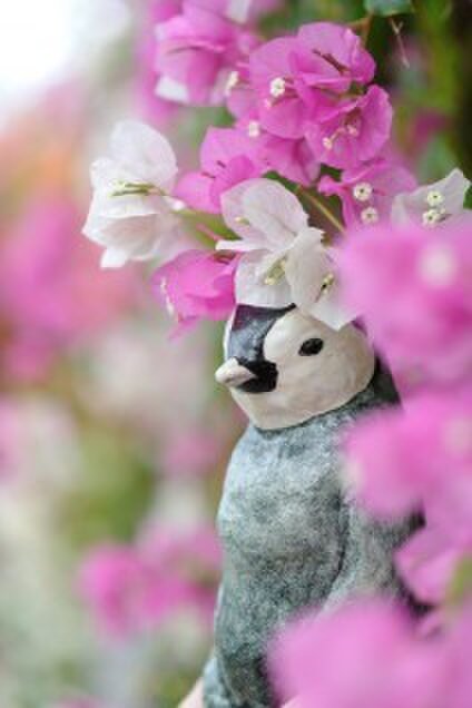 こまつか苗 プロフィール | iichi 日々の暮らしを心地よくする