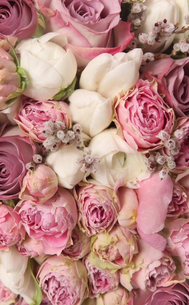 mam様ピンクs値札なし マザーガーデン きせかえ ぬいぐるみ Sサイズ ぷるねらちゃん