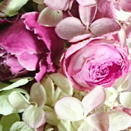 大きめ◈ユーカリとオレガノケントビューティーのリース 大きめ◈ユーカリとオレガノケントビューティーのリース