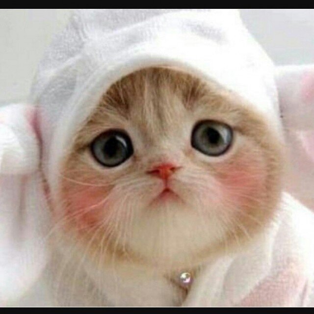 ツバメ☆オルゴナイト☆キーホルダー | iichi 日々の暮らしを