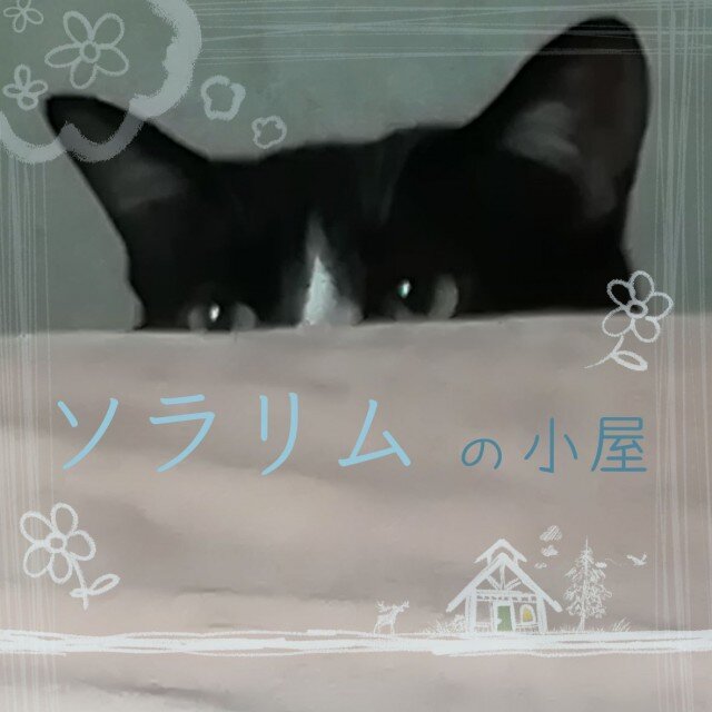 ソラリム 作品一覧 | iichi 日々の暮らしを心地よくする