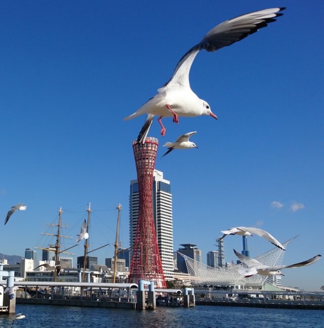 笑顔「ひまわり」「花のある暮らし」A3サイズ光沢写真横 写真のみ 風景