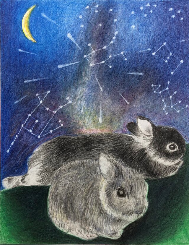 うさぎのポストカード うさちゃん花冠でチューリップ畑で