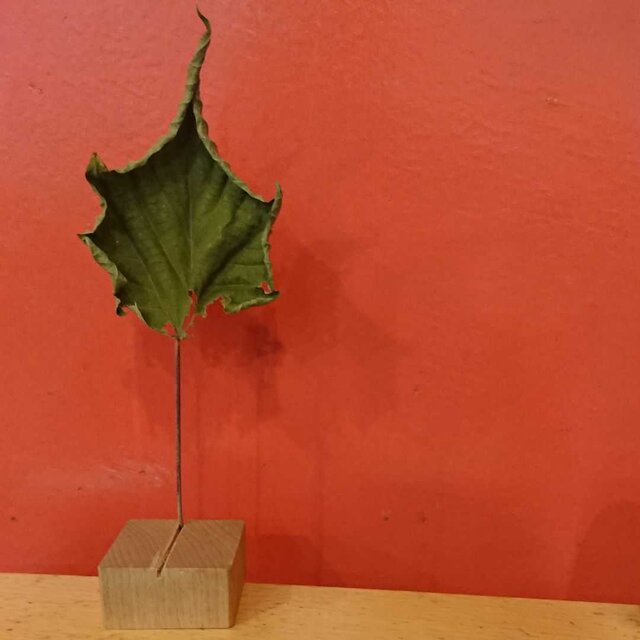 葉っぱのオブジェ 001 | iichi 日々の暮らしを心地よくする