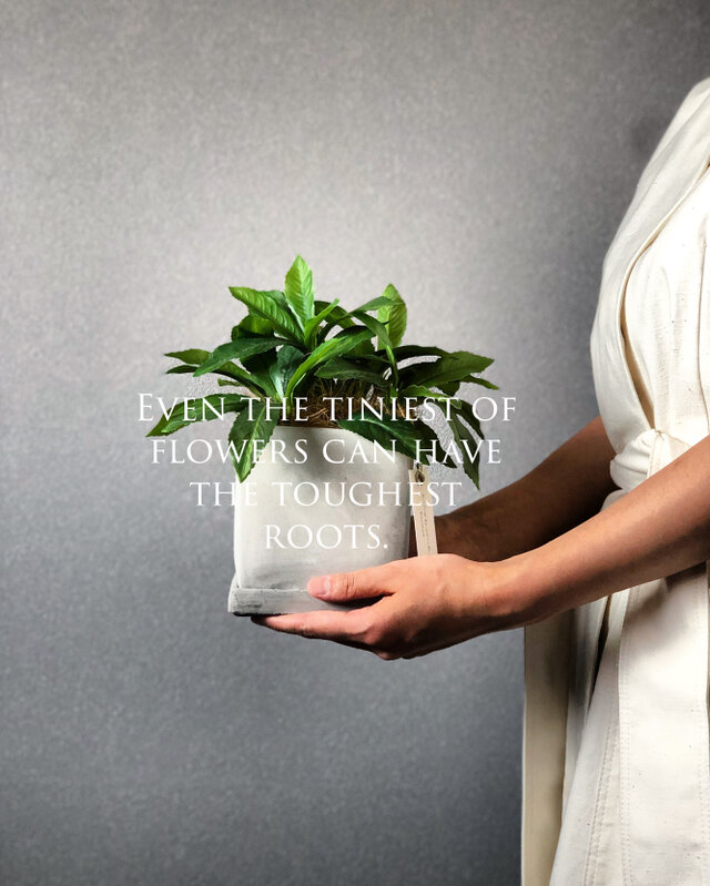 一輪挿しの様なモンステラ 個性的なインテリア モンステラ】一輪挿し フェイクグリーン インテリアグリーン