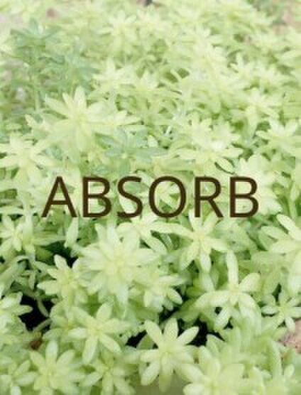 かるはさん専用♡天然石バレッタ green Amazon.co.jp: クリスタル 天然水晶 緑水晶 グリーン 天然石 六角柱