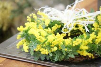 ユーカリとアナベルのリース(リューカデンドロン) | iichi 日々の