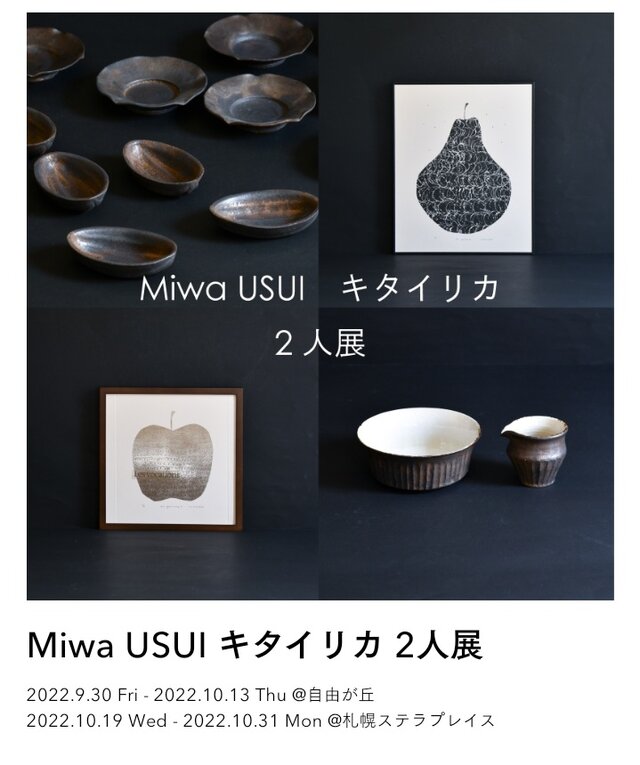 Miwa USUI キタイリカ 2人展・自由が丘店