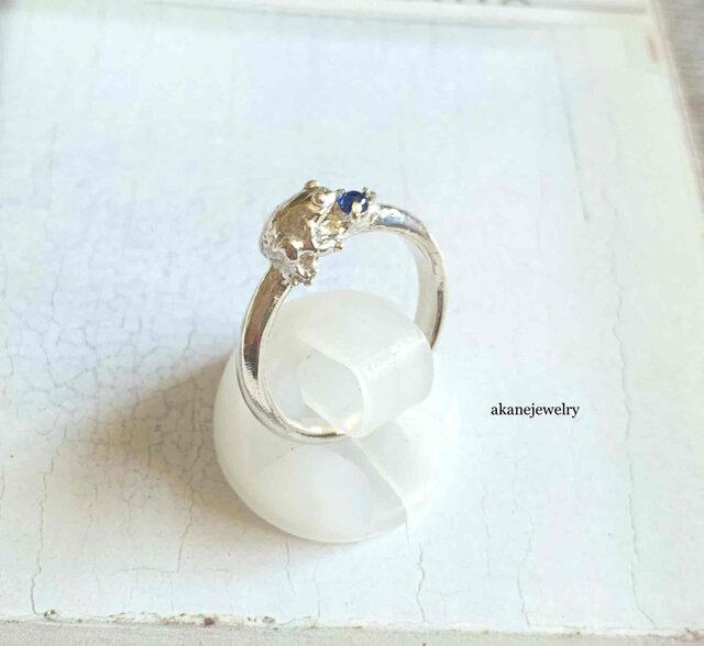 東京ビッグサイト　ジャパンレプタイルズショー