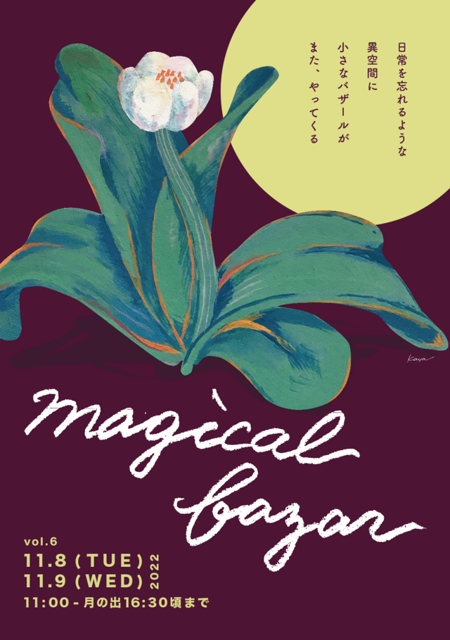 magical bazar vol.6