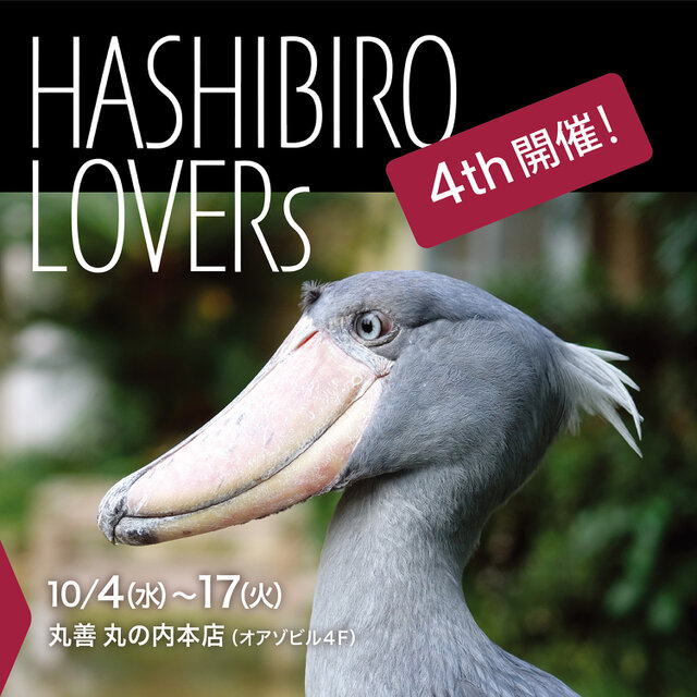 Hashibiro lovers Vol.4
