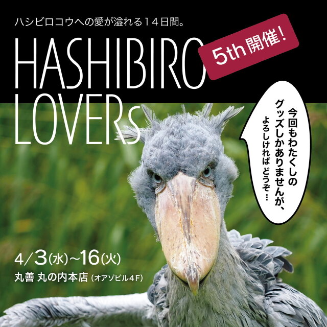Hashibiro lovers Vol.5