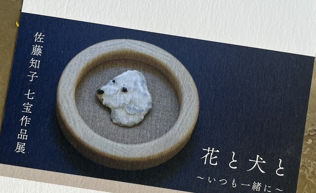 花と犬と