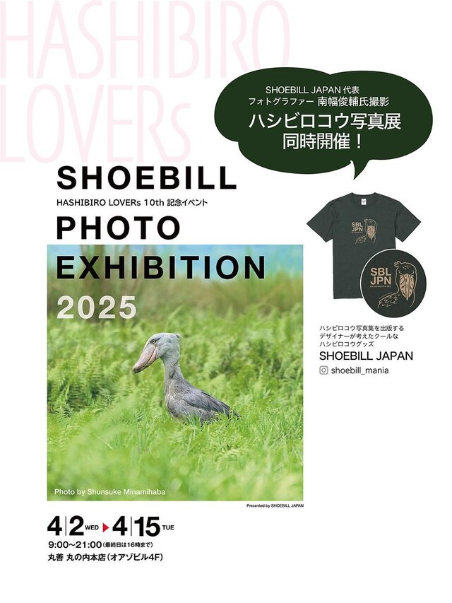 Hashibiro lovers 10th