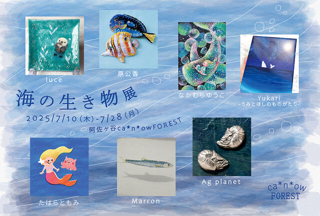 海の生き物展