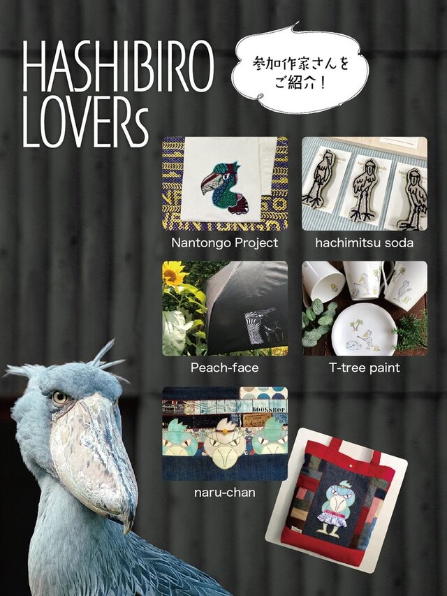 Hashibiro lovers 11th