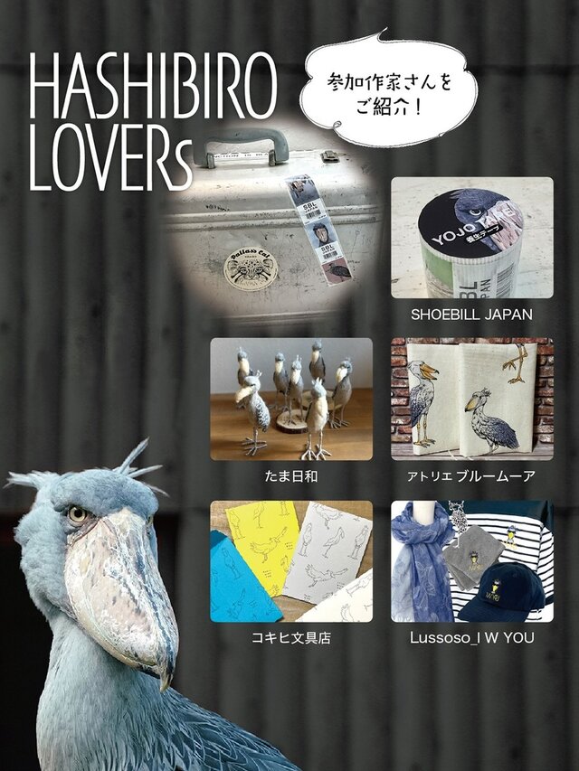 Hashibiro lovers 11th