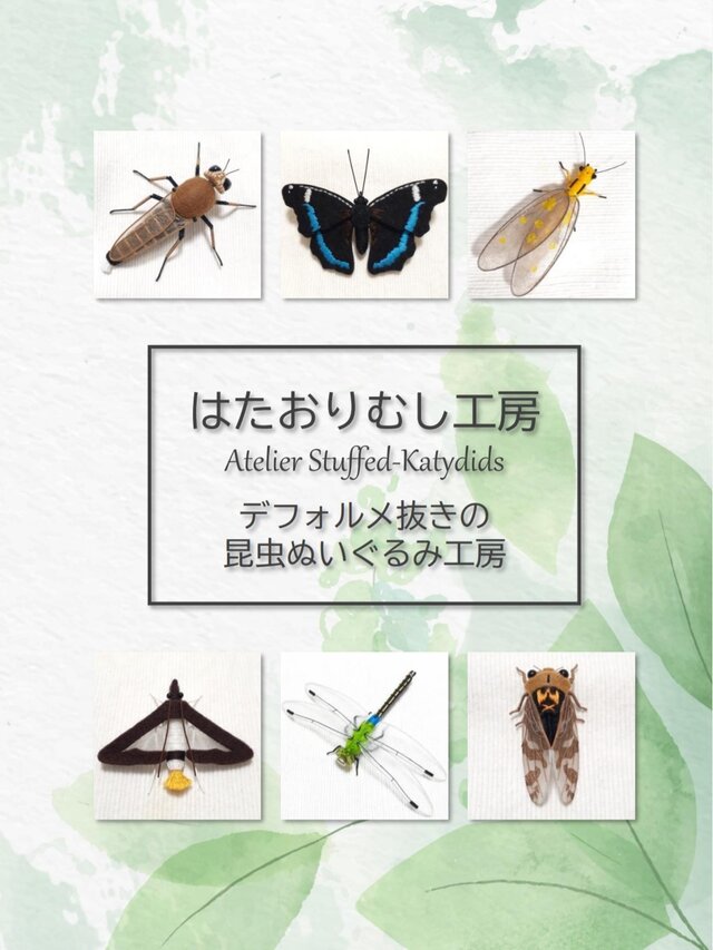 大人の自由研究展