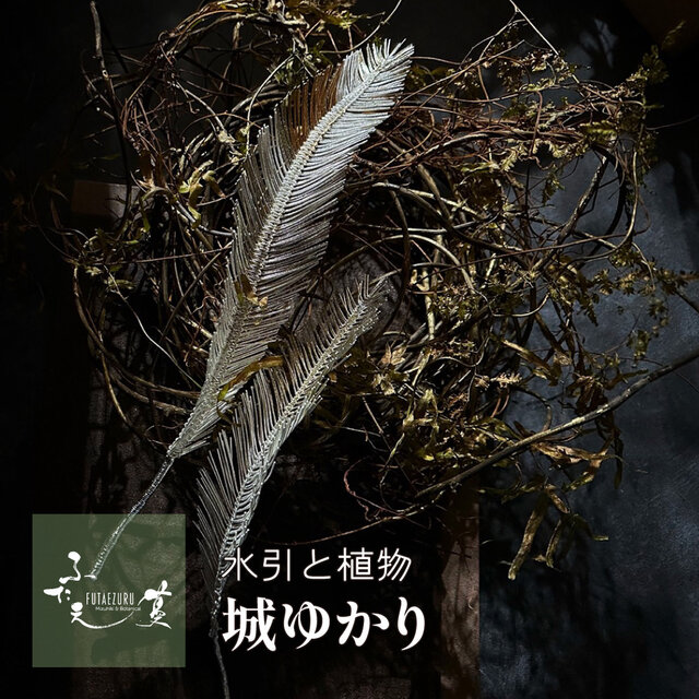 悠久〜手に宿る祈り