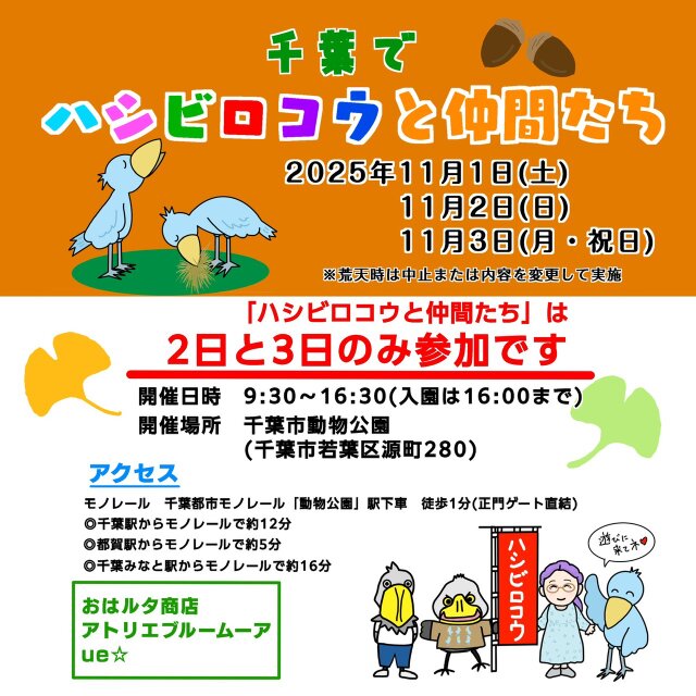 千葉市動物公園で 『ハシビロコウと仲間たち』