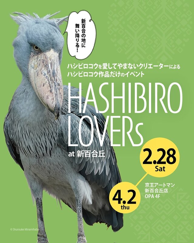 HASHIBIRO LOVERs at 新百合丘