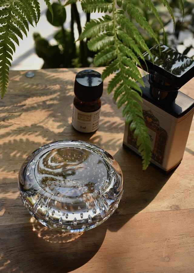 ヴィレッジ三島2026(静岡県三島市)に参加します。