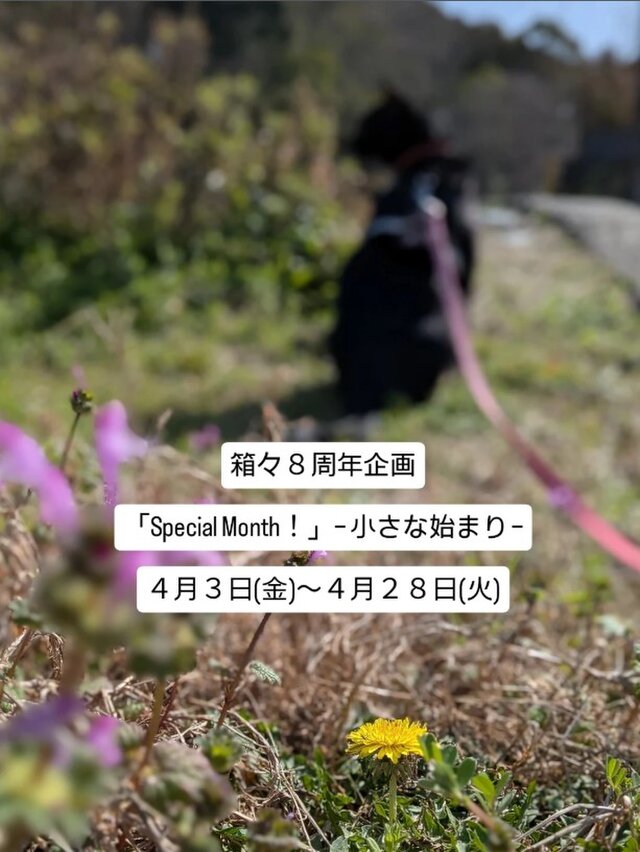 箱々８周年企画 「Special Month！」 − 小さな始まり −