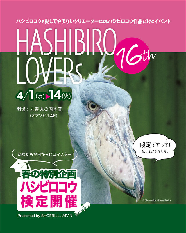 Hashibiro lovers 16th