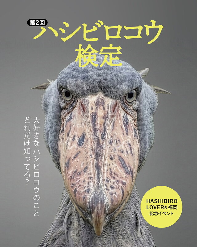 HASHIBIRO LOVERs ~Fukuoka~ | iichi 日々の暮らしを心地よくする