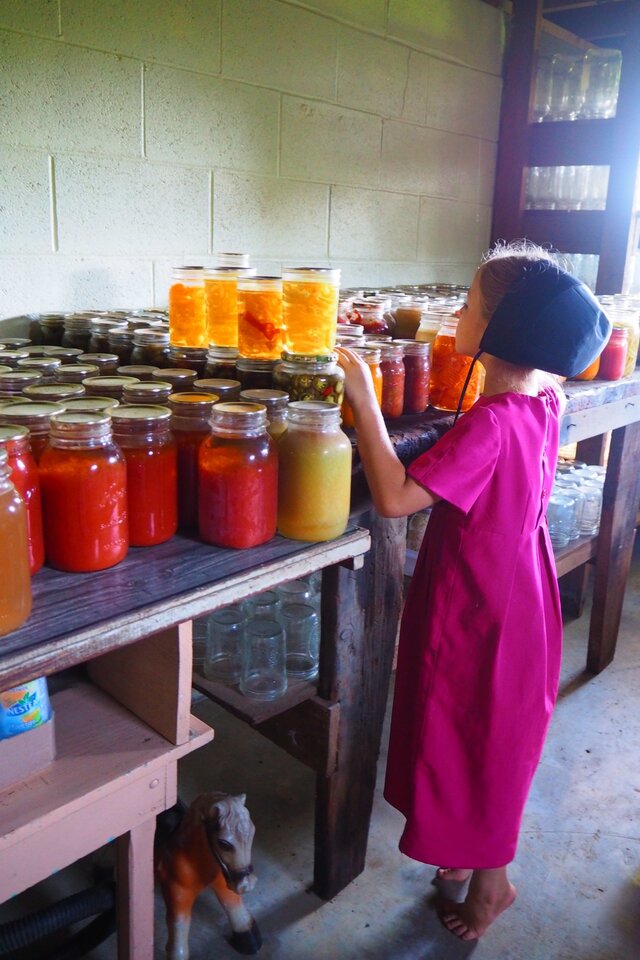 Down to Earth　アーミッシュの暮らし展