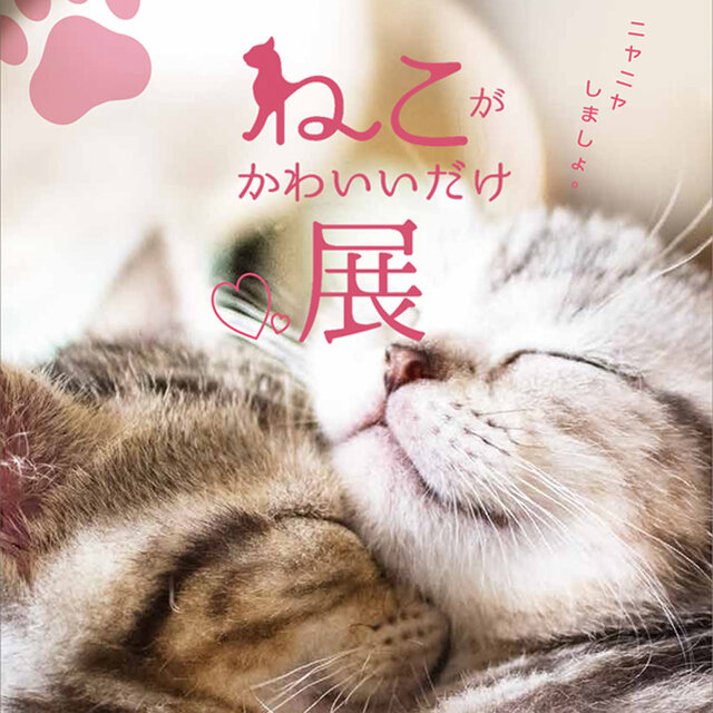 ねこがかわいいだけ展　新潟