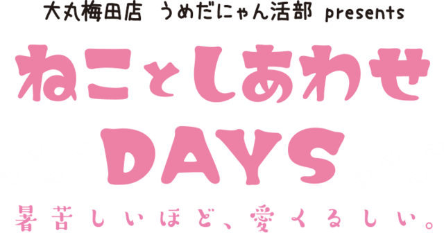 ねことしあわせＤＡＹＳ