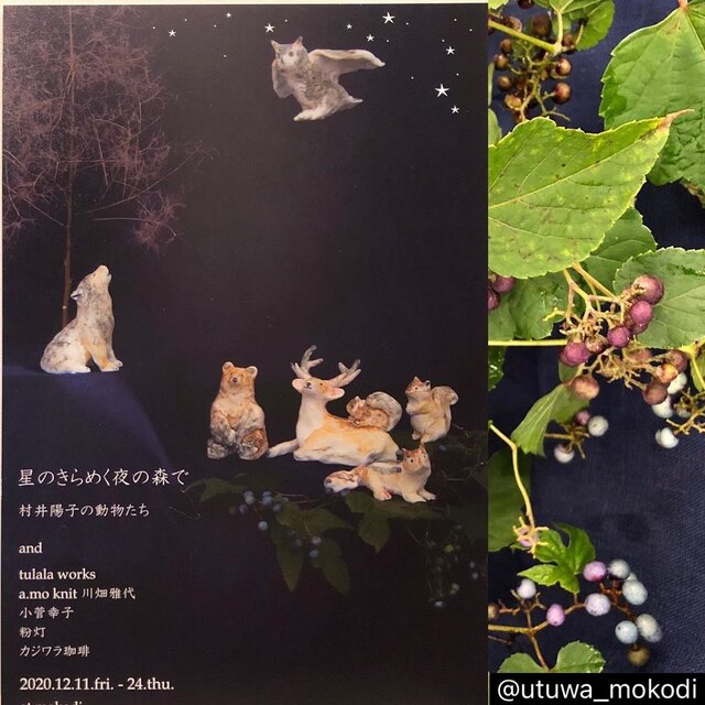 星のきらめく夜の森で ～村井陽子の動物たち～ | iichi 日々の暮らしを