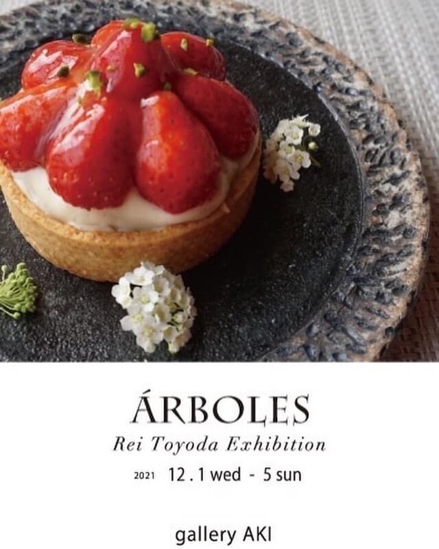 豊田麗　陶展　Árboles-樹木の器