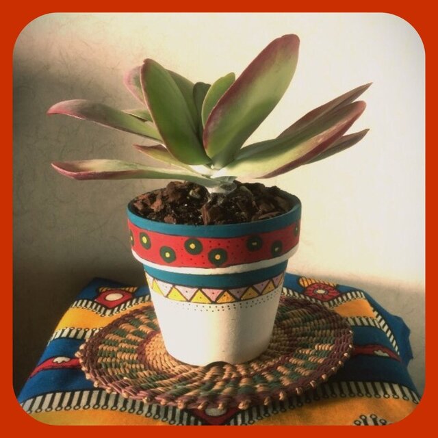 多肉植物用 ペイント鉢の画像1枚目