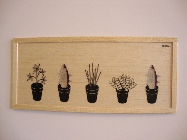 Fish plantの画像1枚目
