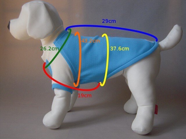 くま ハンドメイド 犬服 Rockkiss ラグランロンＴ ミニ裏毛 it-533807323b274-1200.jpg